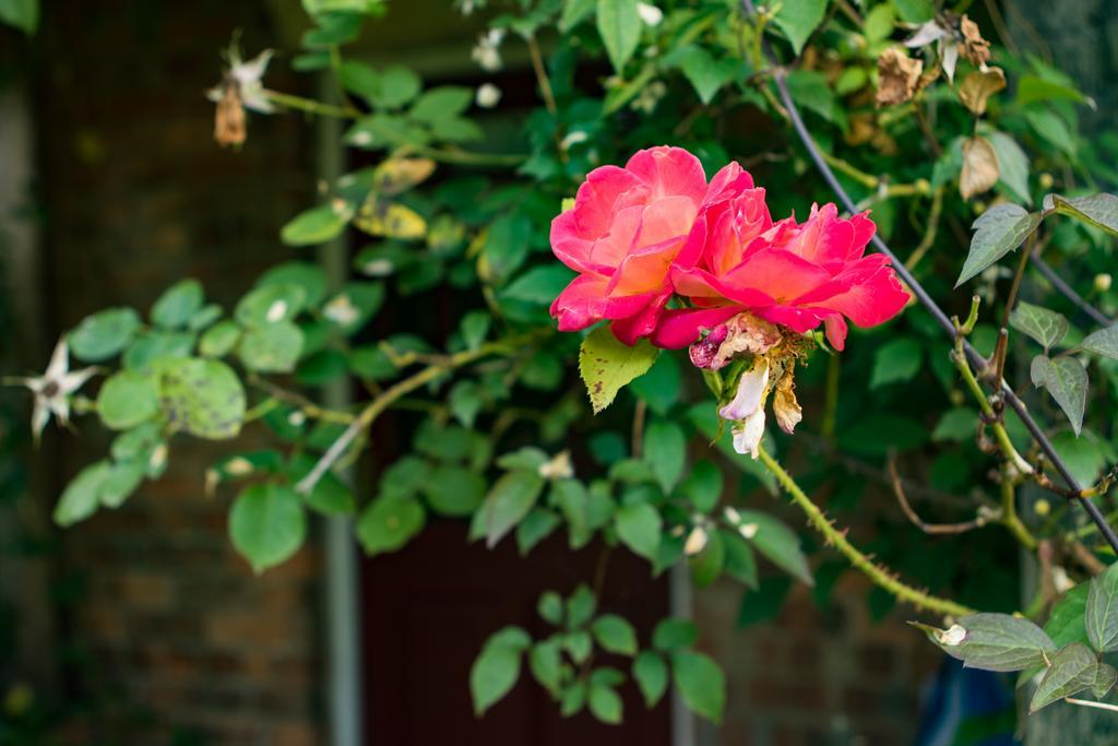 Mareham House Bed & Breakfast สลีฟอร์ด ภายนอก รูปภาพ